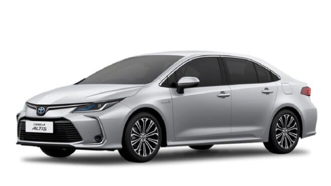 Hong Kong: Hong Kong Airport (HKG) Private Transfer - Customer Reviews