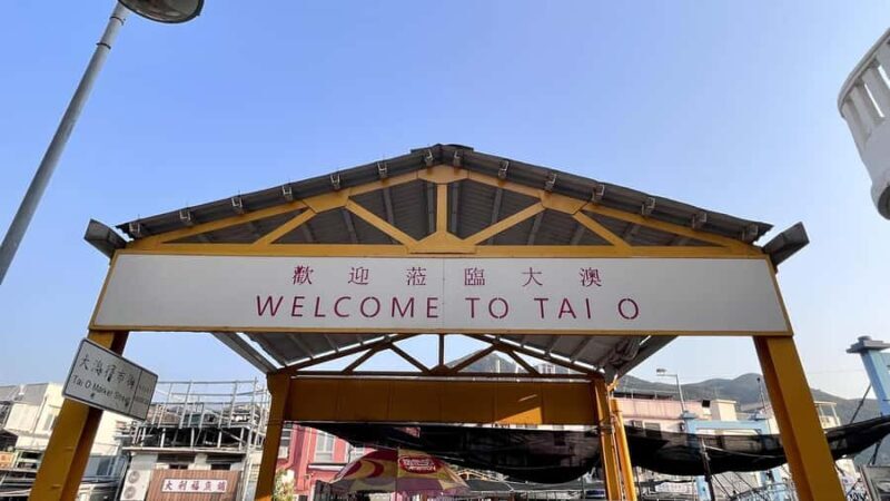 Hong Kong: Lantau Island Tour Cable Car & Village Lunch - In-Depth Look at the Tour Experience