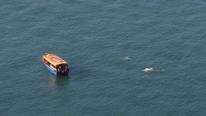 Hong Kong: Lantau Island Tour Cable Car & Village Lunch - Frequently Asked Questions