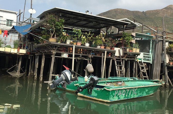 Hong Kong Lantau Tour with Big Buddha, Tai O Village & Snacks - Who Is This Tour Best For?