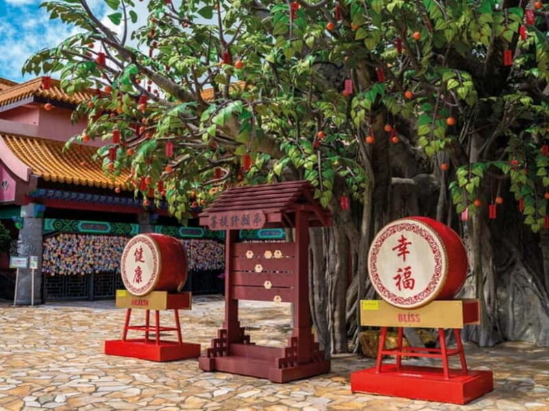 Hong Kong: Lantau VIP Priority Cable Car, Big Buddha & Tai O - Who Would Love This Tour