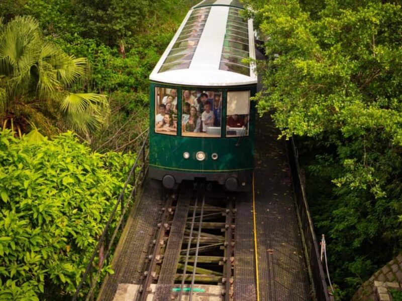 Hong Kong: Night Walking Tour, Tram Ride, & Victoria Peak - FAQ