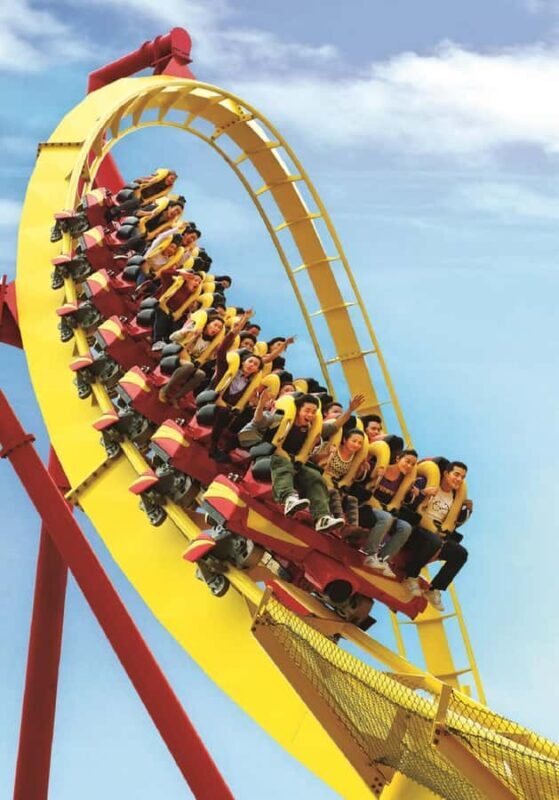 Hong Kong: Ocean Park Entry Ticket + Local Style Set Meal - Why You’ll Love Visiting Ocean Park in Hong Kong