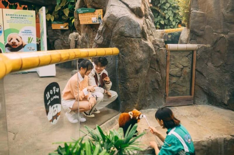 Hong Kong: Ocean Park Entry Ticket + OceanFasTrack Pass - The Itinerary: From Waterfront to Summit