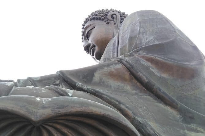 Hong Kong Private Shore Excursion 4/6hrs (with car - MPV) - Who Should Book This Tour?