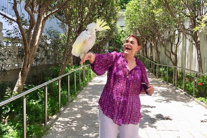 Hong Kong Private Shore Excursion 4/6hrs (with car - MPV) - Final Thoughts