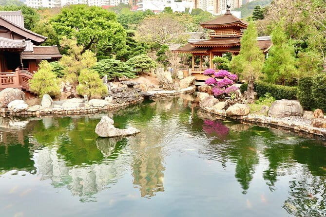 Hong Kong Private Shore Excursion 4/6hrs (with car - MPV) - Practical Details and What Travelers Can Expect