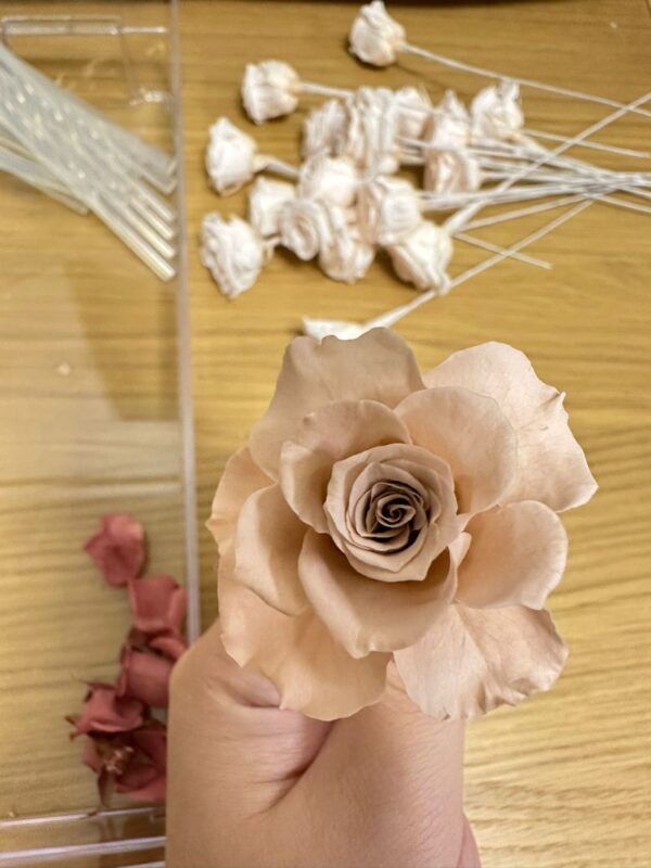 Hong Kong R florist - Handmade Sola Flower & Preserved Flower Workshop | Glass Dome | Diffuser Bottle | Flower Box | Flower Basket | Flower Mirror | AUBE Certificate Course | Lai Chi Kok - What AUBE certification means for your class