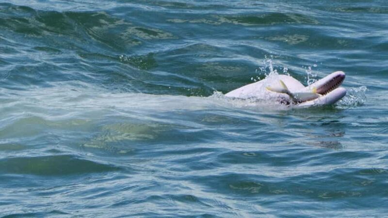 Hong Kong:Lantau Island Private Tour with Cable Car & Pickup - Considerations Before Booking