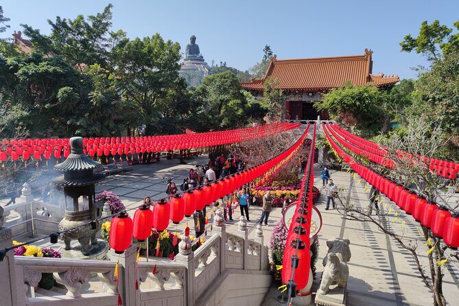 Hong Kong's Top 2 sites: Private Victoria Peak & Big Buddha Tour - Authentic Traveler Insights
