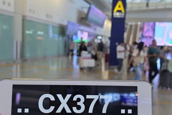 HongKong to Shenzhen PVT Transfer-Meet&Greet, Direct Cross-Border - What Travelers Say — Authentic Insights