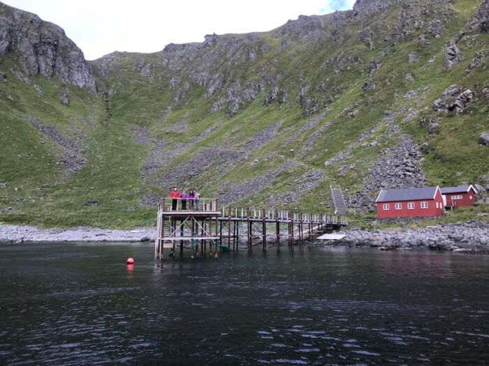 Honningsvåg: North Cape King Crab & Arctic Wildlife Safari - Who Should Consider This Tour?