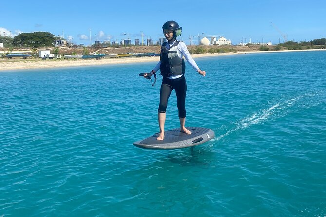 Honolulu 60-Min E-Foil Small Group Session  - Oahu - Session Overview