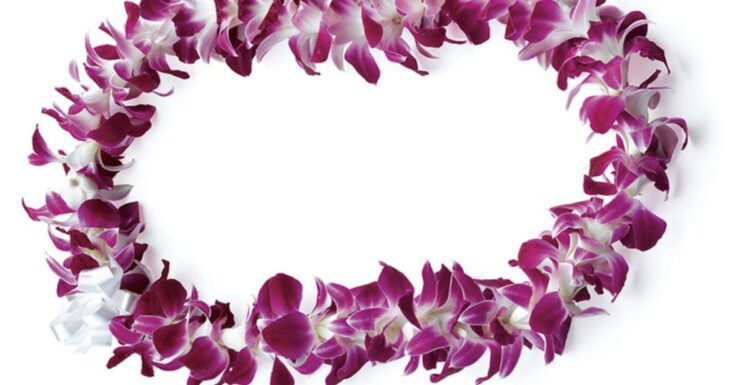 Honolulu: Airport Private Transfer With Arrival Lei Greeting - Booking Details