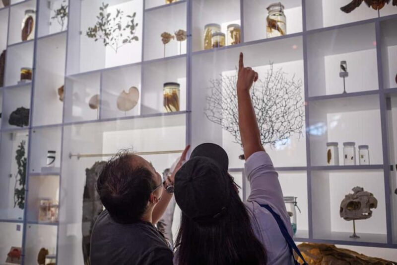 Honolulu: Bishop Museum General Admission Ticket - Authentic Experiences and Insights from Visitors