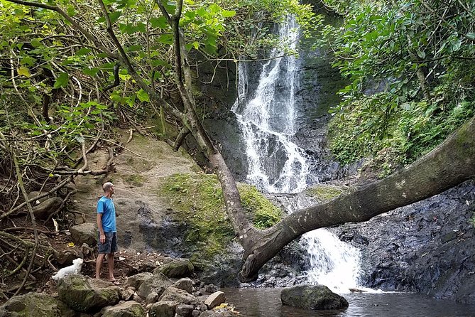 Honolulu Downhill Bike and Waterfall Hike Tour - What To Expect