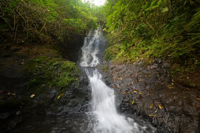 Honolulu Downhill Bike and Waterfall Hike Tour - Guides, Bike Ride, and Hike