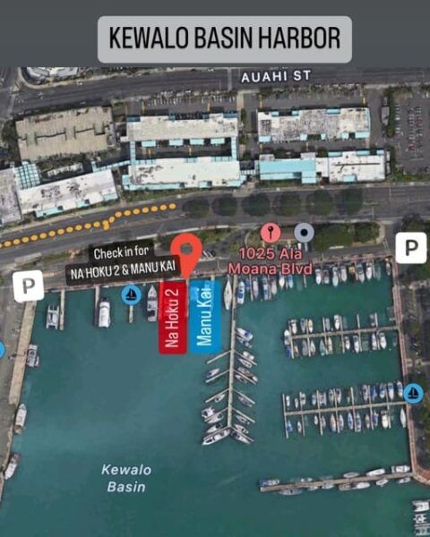 Honolulu: Friday Night Fireworks Catamaran Cruise W/ Drinks - Customer Ratings and Feedback
