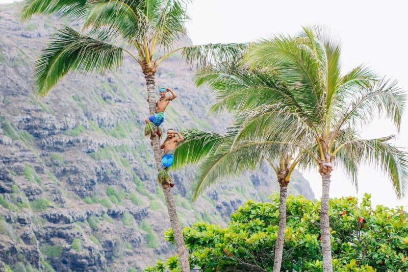 Honolulu: Ka Moana Luau Dinner and Show with Transportation - Analyzing the Value: Is It Worth It?