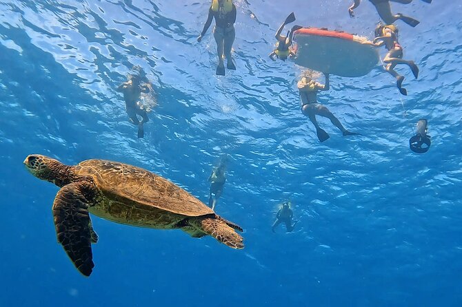 Honolulu Maunalua Bay Snorkel Tour  - Oahu - Tour Overview and Highlights