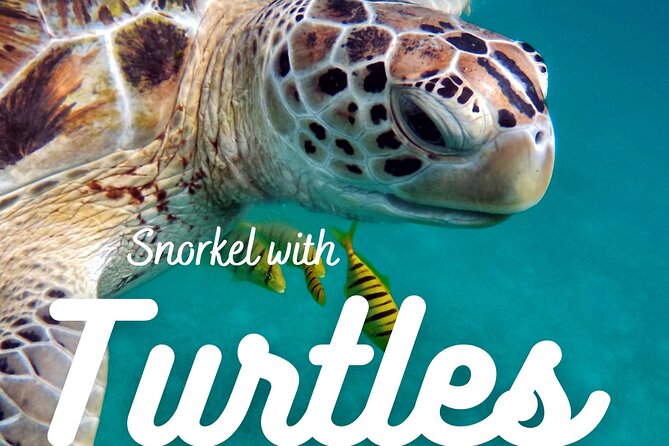 Honolulu Maunalua Bay Snorkel Tour  - Oahu - Inclusions and Logistics