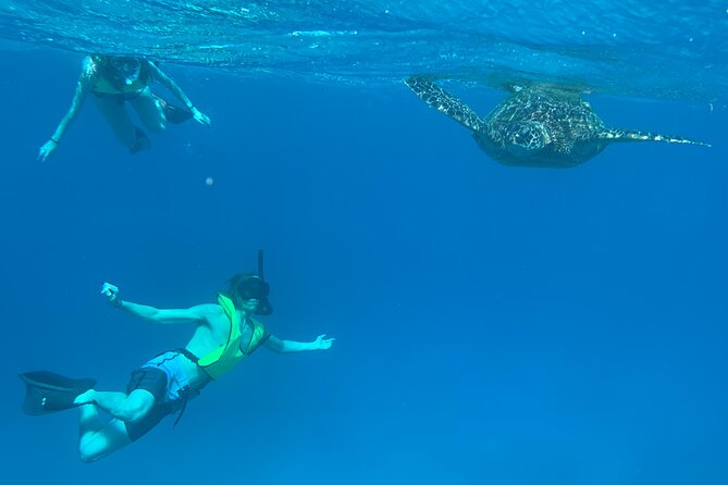 Honolulu Maunalua Bay Snorkel Tour  - Oahu - Cancellation Policy and Weather Conditions