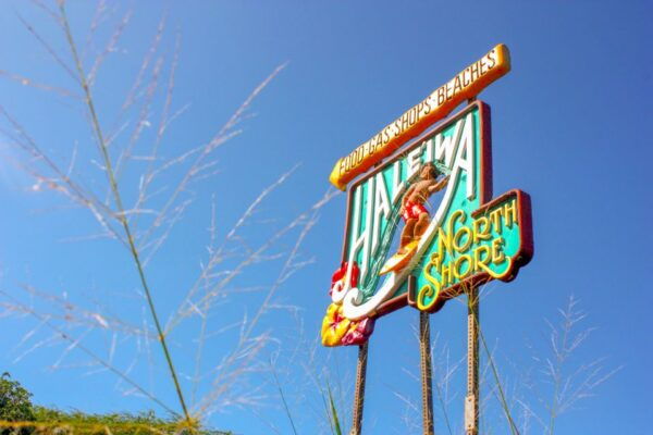 Honolulu: Oahu Island Full-Day Guided Tour by Bus With Lunch - Guide Rating