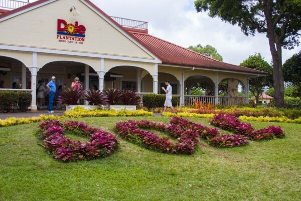 Honolulu: Oahu Island Highlights Tour With Multiple Stops - Directions