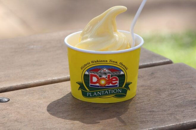 Honolulu: Oahu Sights and Bites Island Tour - Review Summary