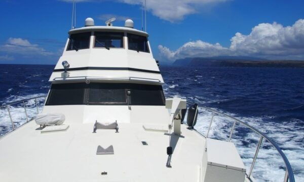 Honolulu: Private Luxury Yacht Cruise With Guide - Positive Review