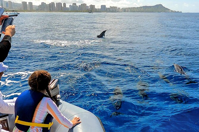 Honolulu Private Whale-Watching Cruise  - Oahu - Directions