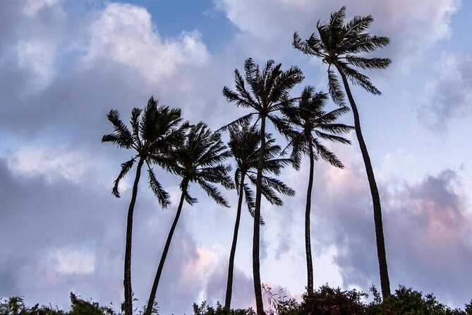 Honolulu Sea-Cliff with Sunset Photo Adventure - FAQ