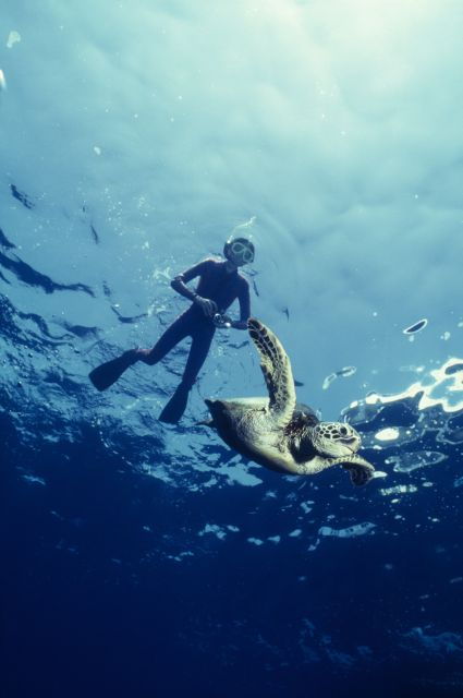 Honolulu: Snorkel Tour on Adventure Speed Boat - Experience Highlights