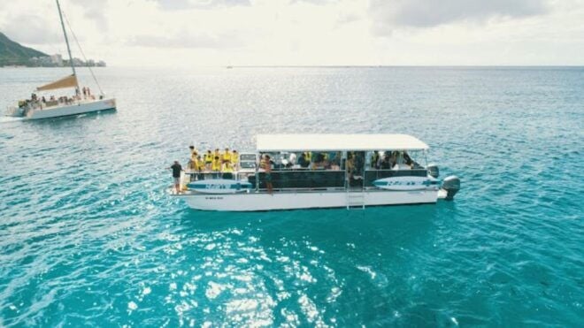 Honolulu: Snorkel With Turtles, Water Scooter, Paddleboard - Customer Reviews and Testimonials