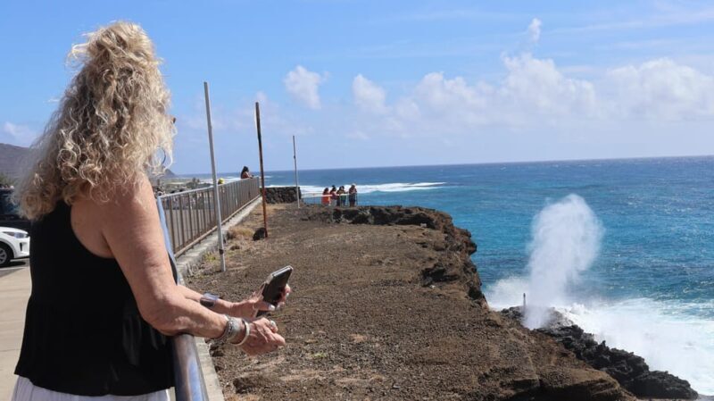 Honolulu: Stunning Views of Oahu! Half-day Scenic Tour - The Highlights of Each Stop