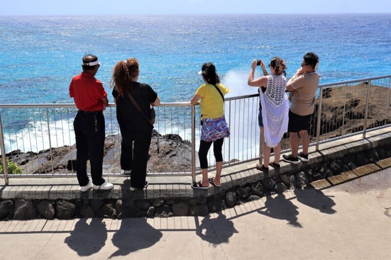 Honolulu: Stunning Views of Oahu! Half-day Scenic Tour - Is This Tour Worth It?