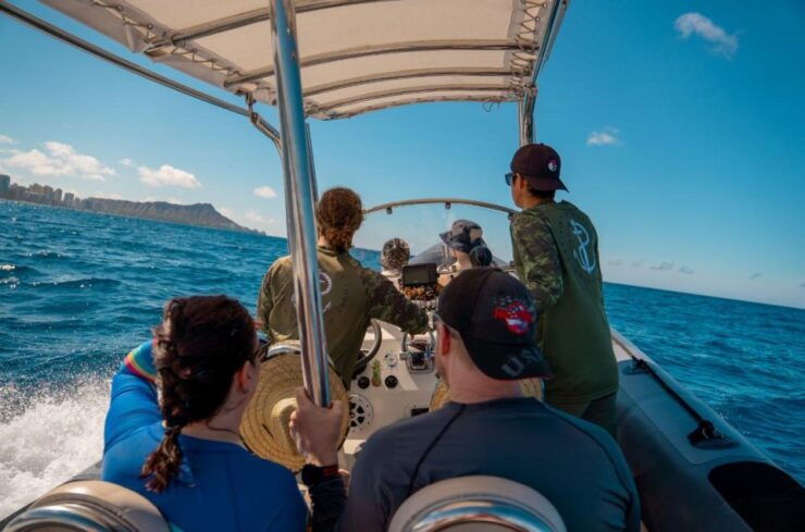 Honolulu: Turtle Canyon Snorkeling Semi-Private Boat Tour - Good To Know