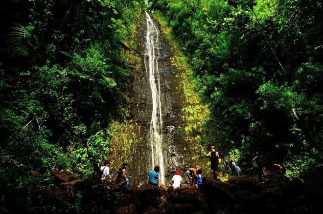 Honolulus Backyard Rainforest Tour: Audio Tour Guide - Offline Map and Directions