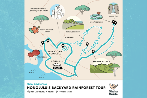 Honolulus Backyard Rainforest Tour: Audio Tour Guide - Attraction Hours and Fees
