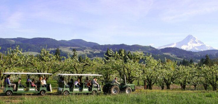 Hood River: Orchard Tour - Activity Details