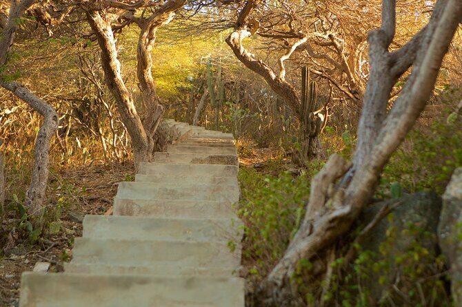 Hooiberg Hill Hike (Sunrise, Sunset, Night) - The Experience in Detail