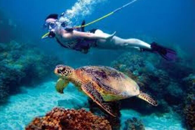 Hookah Diving Adventure in Zihuatanejo - Good To Know
