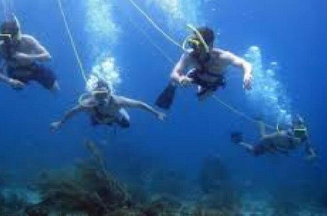 Hookah Diving Adventure in Zihuatanejo - The Value Proposition: Is It Worth It?