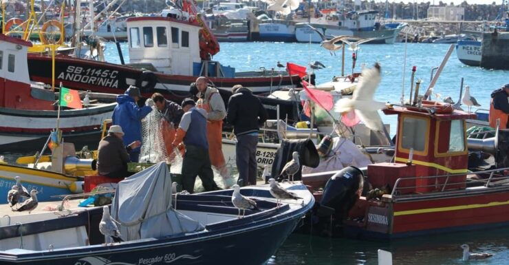 Hooked on Sesimbra - Good To Know