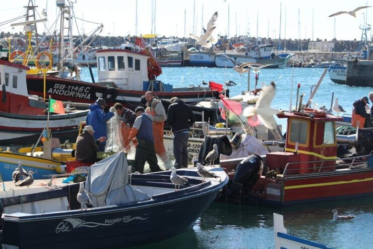 Hooked on Sesimbra - Experience Highlights