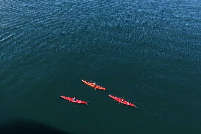 Hoonah Small-Group Kayak Tour - Value for Money
