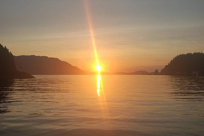 Hoonah Small-Group Kayak Tour - Guides, Safety, and Wildlife