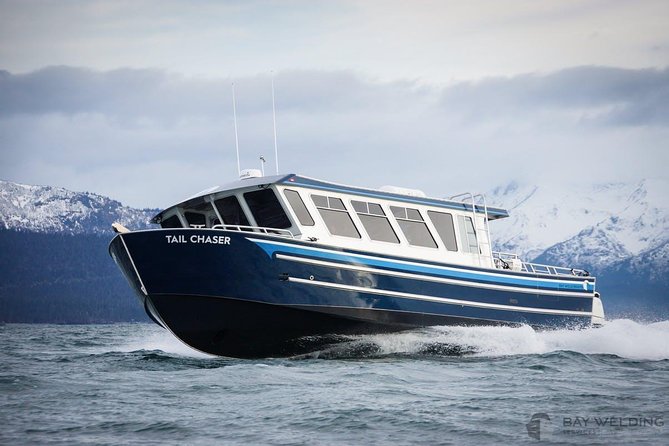 Hoonah Whale-Watching Cruise - Overview and Tour Details