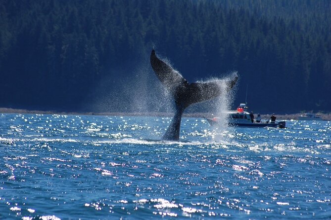 Hoonah Whale-Watching Cruise - Cancellation Policy