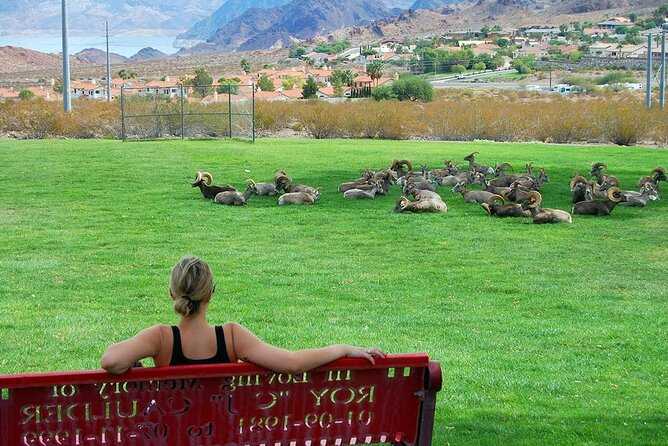 Hoover Dam and Seven Magic Mountains Day Tour by Limo Bus - Tour Highlights